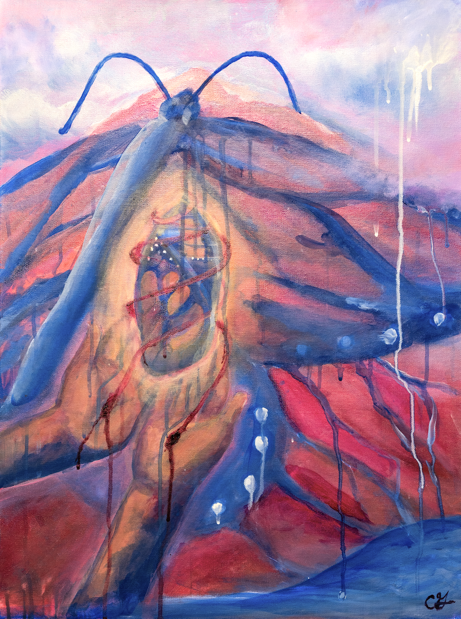 Cocoon of Love